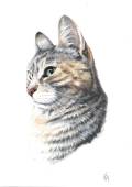 Jingle_kleurpotlood-en-pastel-op-canson-tekenpapier-21x29.7-180-gr