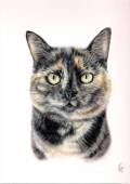 Bubble_pastel-op-pastelmatpapierclairefontaine-24x32-360grs